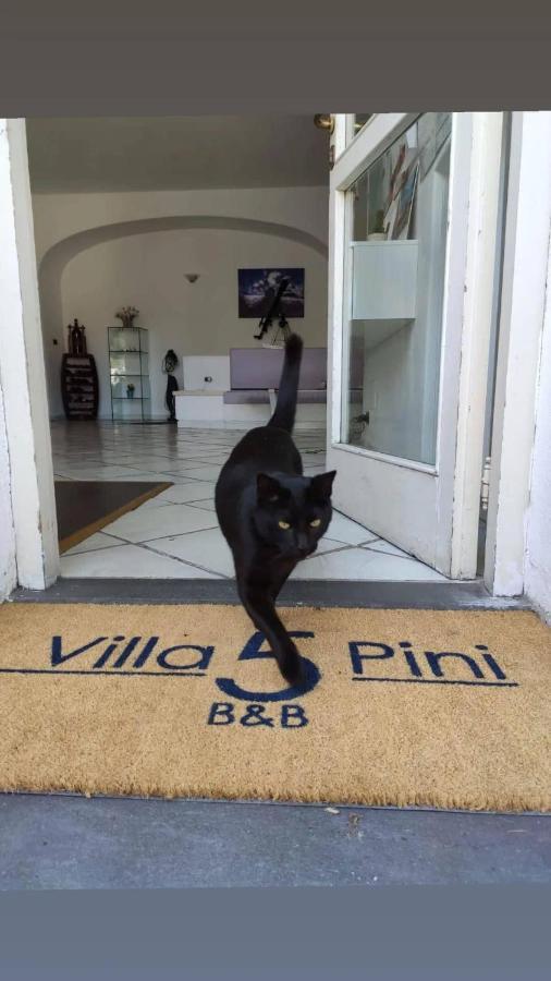 Villa Cinque Pini Casamicciola Terme Luaran gambar