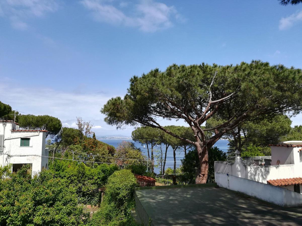 Villa Cinque Pini Casamicciola Terme Luaran gambar